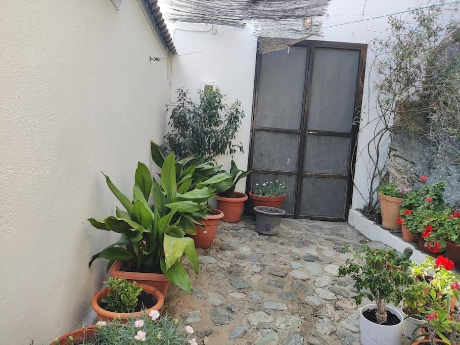 Casa En El Valle De Guainosaltos Adra Exterior photo